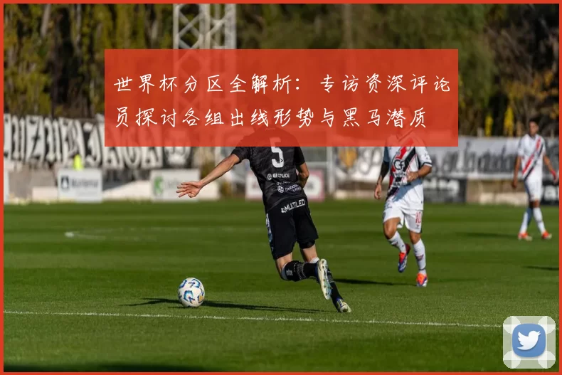 世界杯分区全解析:专访资深评论员探讨各组出线形势与黑马潜质