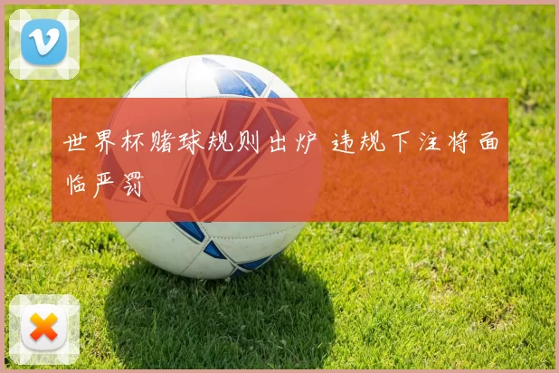 世界杯赌球规则出炉 违规下注将面临严罚