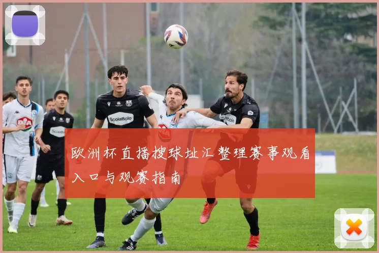 欧洲杯直播搜球址汇整理赛事观看入口与观赛指南