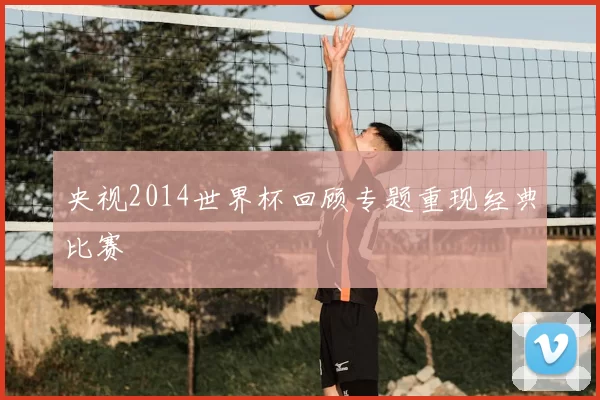 央视2014世界杯回顾专题重现经典比赛