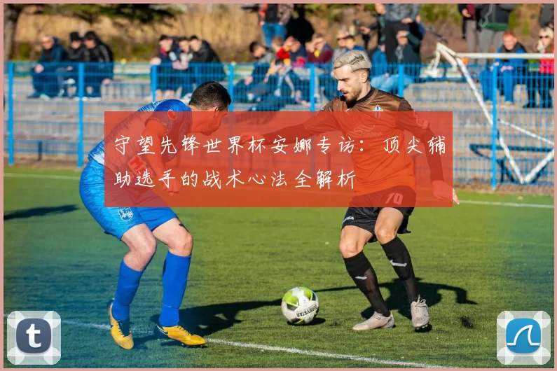 守望先锋世界杯安娜专访:顶尖辅助选手的战术心法全解析