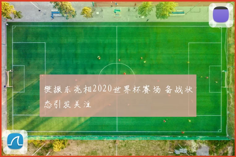 樊振东亮相2020世界杯赛场 备战状态引发关注