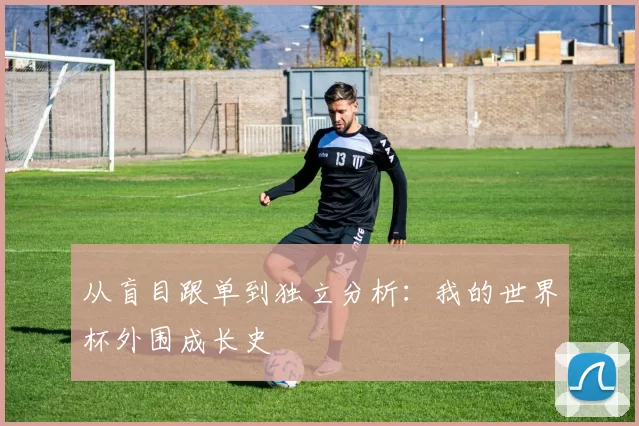 从盲目跟单到独立分析:我的世界杯外围成长史