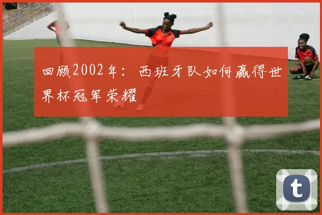 回顾2002年：西班牙队如何赢得世界杯冠军荣耀