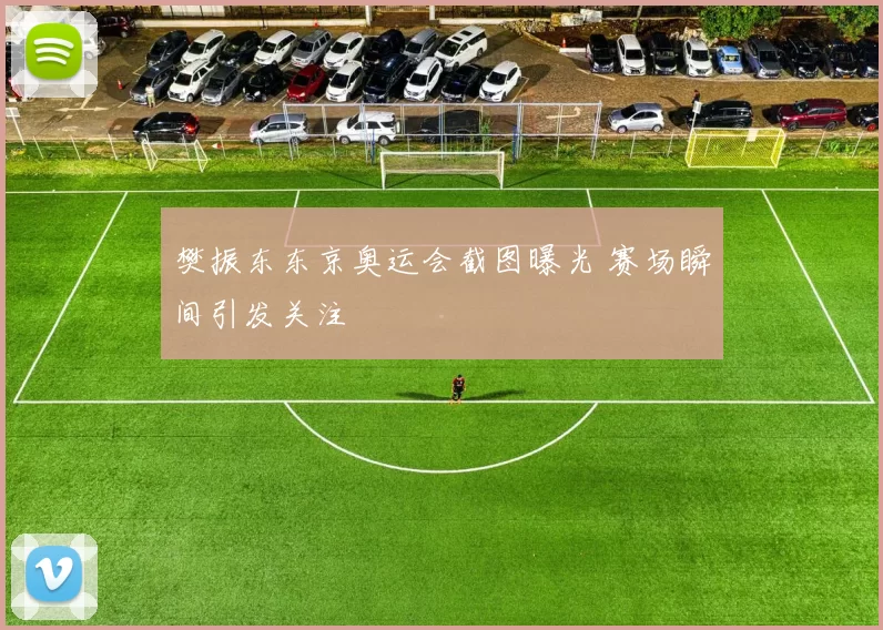 樊振东东京奥运会截图曝光 赛场瞬间引发关注